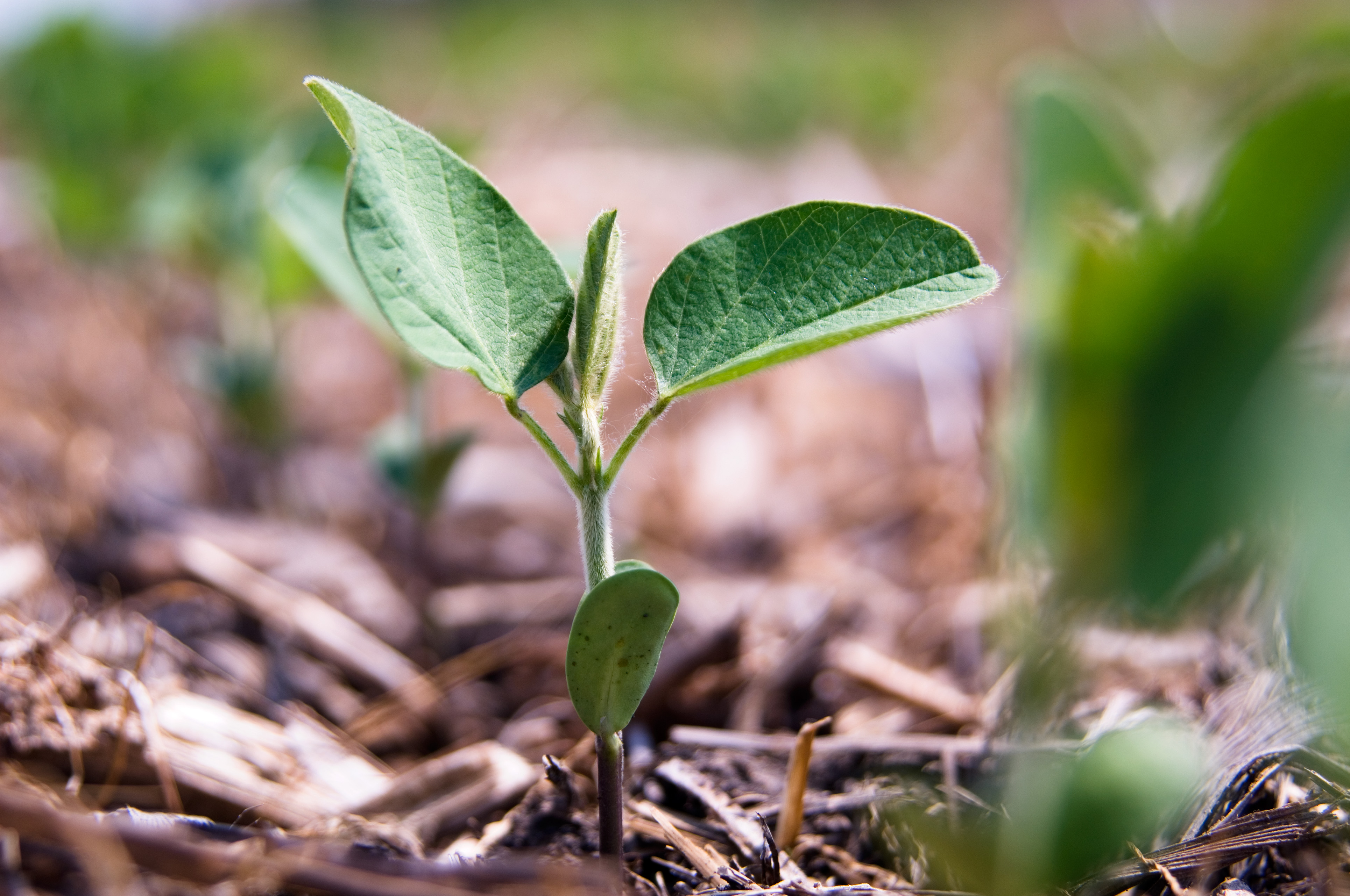 Farmers Helping Farmers Goal of Precision Ag Review ...